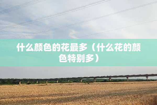 什么颜色的花最多（什么花的颜色特别多）