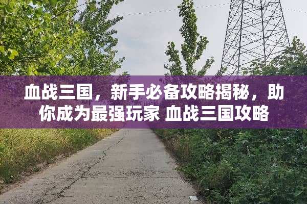 血战三国,新手必备攻略揭秘,助你成为最强玩家 血战三国攻略 血战三国,新手必备攻略揭秘,助你成为最强玩家 血战三国攻略