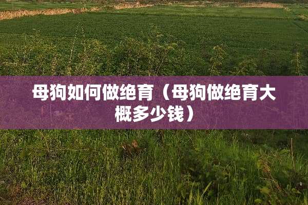 母狗如何做绝育（母狗做绝育大概多少钱）