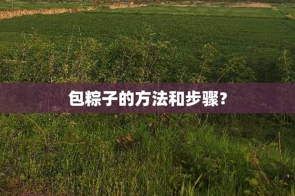 包粽子的方法和步骤？