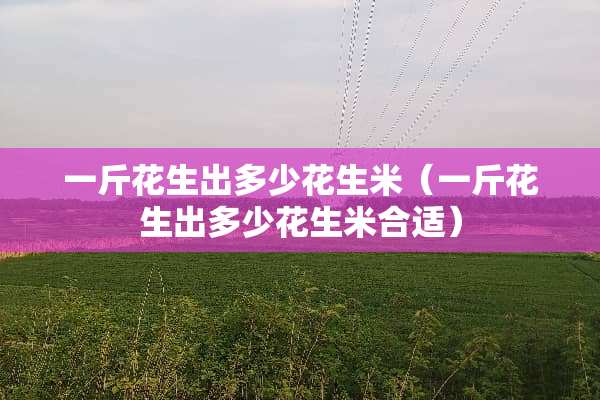一斤花生出多少花生米（一斤花生出多少花生米合适）