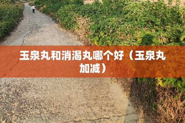 玉泉丸和消渴丸哪个好（玉泉丸加减）