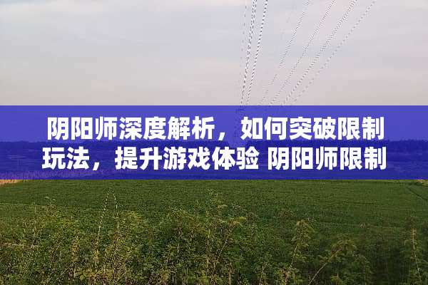 *阳师深度解析,如何突破限制玩法,提升游戏体验*阳师限制玩法 *阳师深度解析,如何突破限制玩法,提升游戏体验*阳师限制玩法