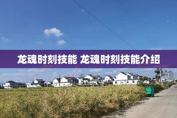 龙魂时刻技能 龙魂时刻技能介绍