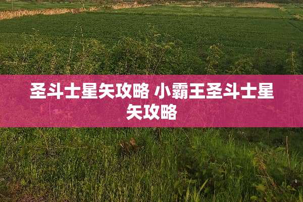 圣斗士星矢攻略 小**圣斗士星矢攻略 圣斗士星矢攻略 小**圣斗士星矢攻略