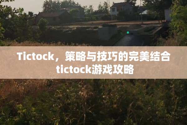 Tictock，策略与技巧的完美结合 tictock游戏攻略