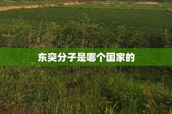 **分子是哪个国家的 **分子是哪个国家的