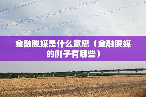 金融脱媒是什么意思(金融脱媒的例子有哪些) 金融脱媒是什么意思(金融脱媒的例子有哪些)