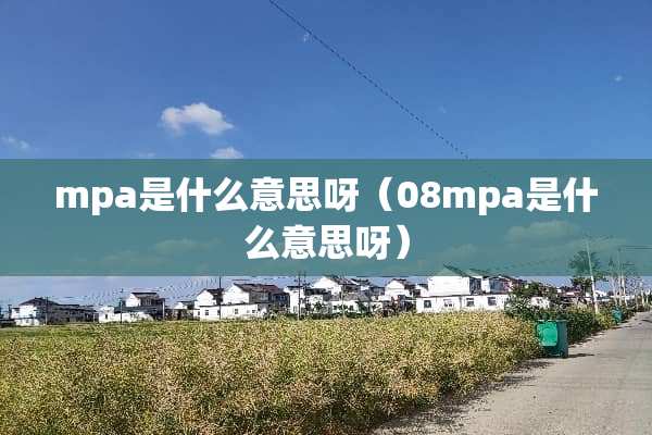 mpa是什么意思呀（08mpa是什么意思呀）