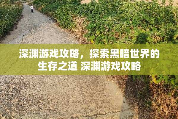 深渊游戏攻略，探索黑暗世界的生存之道 深渊游戏攻略
