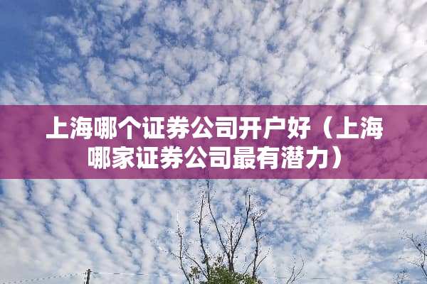 上海哪个证券公司开户好（上海哪家证券公司最有潜力）