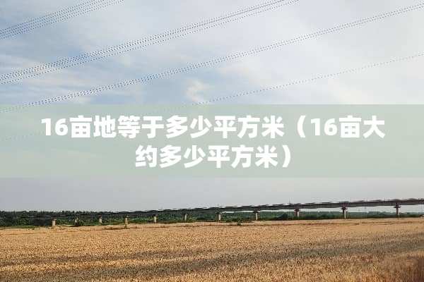 16亩地等于多少平方米(16亩大约多少平方米) 16亩地等于多少平方米(16亩大约多少平方米)