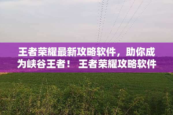 王者荣耀最新攻略软件，助你成为峡谷王者！ 王者荣耀攻略软件