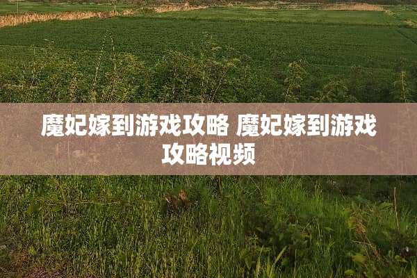 魔妃嫁到游戏攻略 魔妃嫁到游戏攻略视频