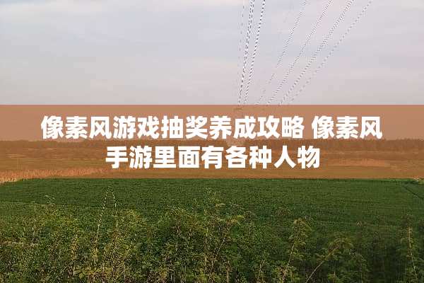 像素风游戏抽奖养成攻略 像素风手游里面有各种人物