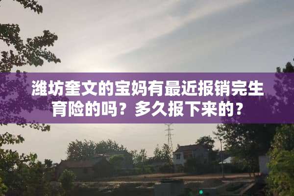 潍坊奎文的宝妈有最近报销完生育险的吗？多久报下来的？