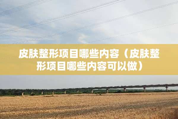 皮肤整形项目哪些内容（皮肤整形项目哪些内容可以做）