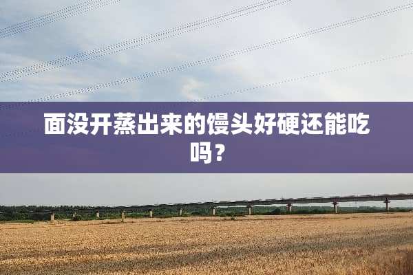 面没开蒸出来的馒头好硬还能吃吗？