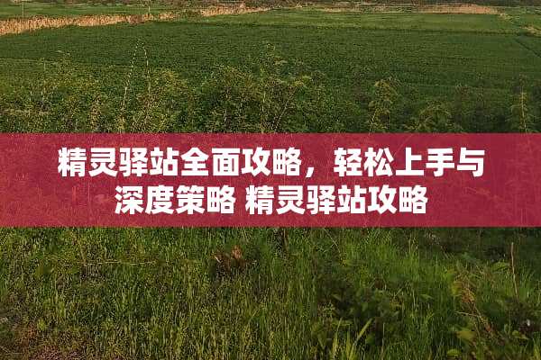 精灵驿站全面攻略，轻松上手与深度策略 精灵驿站攻略