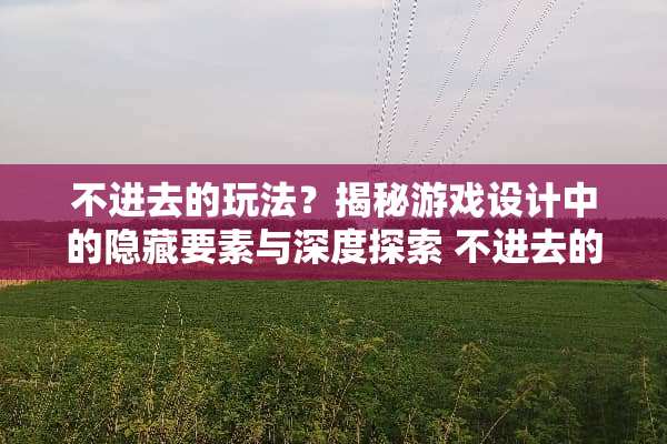 不进去的玩法?揭秘游戏设计中的隐藏要素与深度探索 不进去的玩法 不进去的玩法?揭秘游戏设计中的隐藏要素与深度探索 不进去的玩法