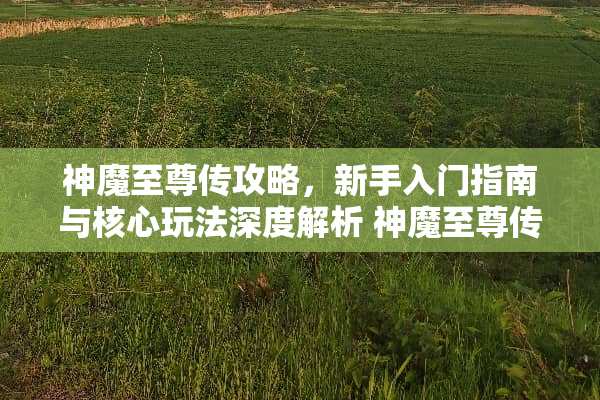 神魔至尊传攻略，新手入门指南与核心玩法深度解析 神魔至尊传攻略