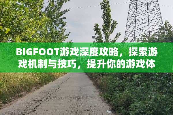 BIGFOOT游戏深度攻略，探索游戏机制与技巧，提升你的游戏体验 BIGFOOT攻略游戏