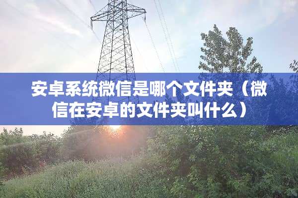 安卓系统微信是哪个文件夹（微信在安卓的文件夹叫什么）