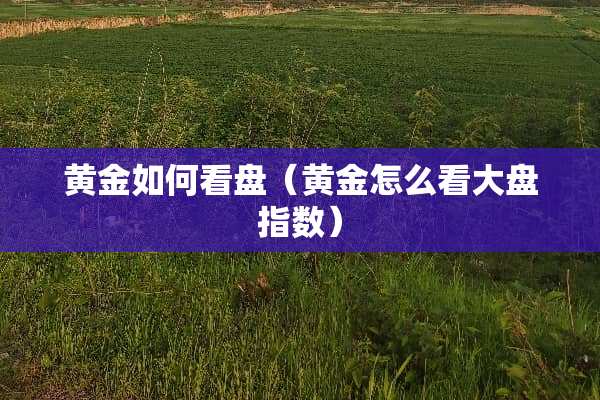 黄金如何看盘（黄金怎么看大盘指数）