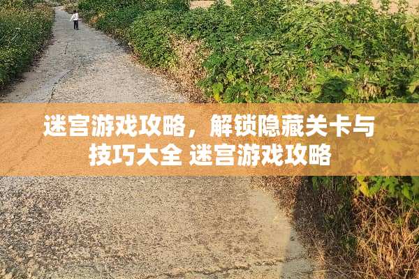迷宫游戏攻略,解锁隐藏关卡与技巧大全 迷宫游戏攻略 迷宫游戏攻略,解锁隐藏关卡与技巧大全 迷宫游戏攻略