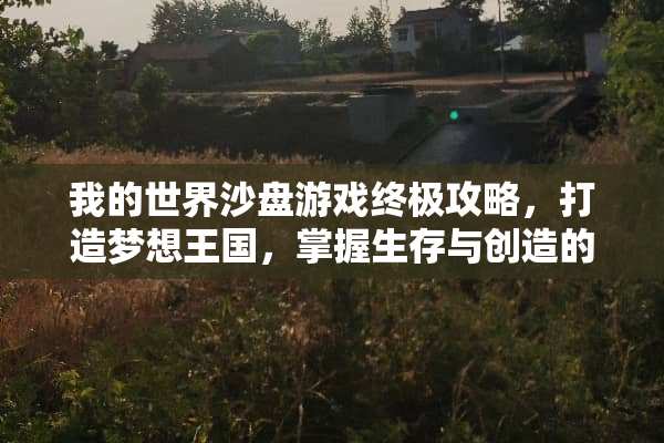 我的世界沙盘游戏终极攻略，打造梦想王国，掌握生存与创造的艺术 我的世界沙盘游戏攻略