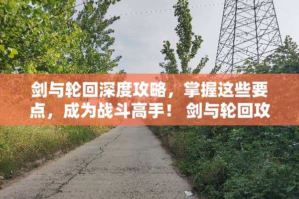 剑与轮回深度攻略，掌握这些要点，成为战斗高手！ 剑与轮回攻略