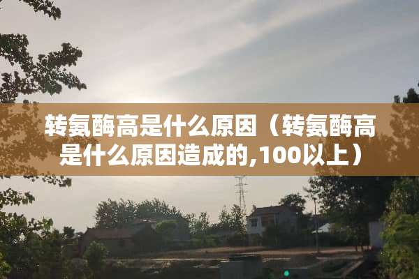 转氨酶高是什么原因（转氨酶高是什么原因造成的,100以上）