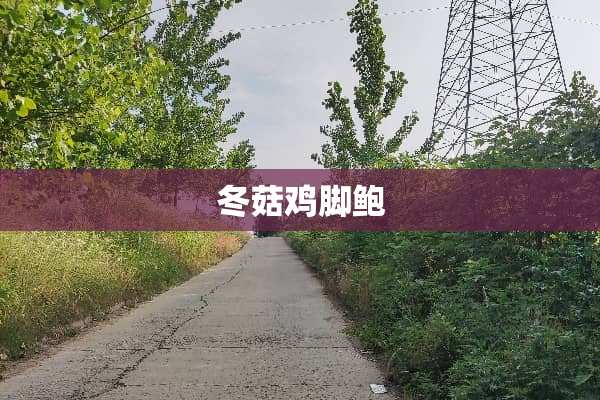 冬菇鸡脚鲍