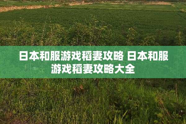 日本和服游戏稻妻攻略 日本和服游戏稻妻攻略大全