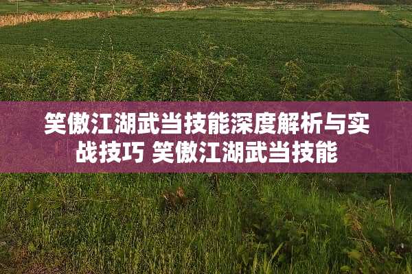 笑傲江湖武当技能深度解析与实战技巧 笑傲江湖武当技能