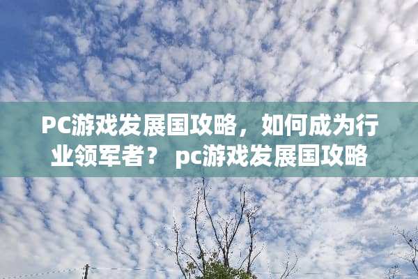 PC游戏发展国攻略，如何成为行业领军者？ pc游戏发展国攻略