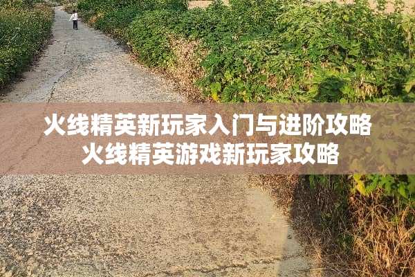 火线精英新玩家入门与进阶攻略 火线精英游戏新玩家攻略