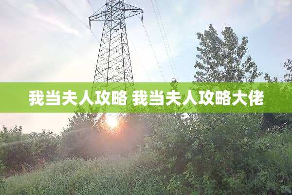 我当夫人攻略 我当夫人攻略大佬