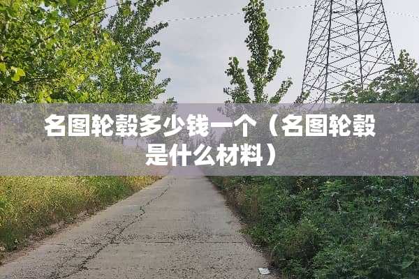 名图轮毂多少钱一个（名图轮毂是什么材料）