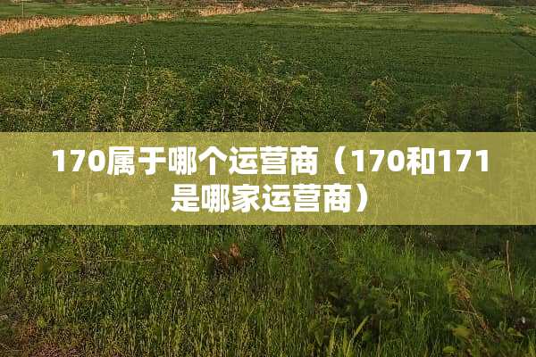 170属于哪个运营商（170和171是哪家运营商）