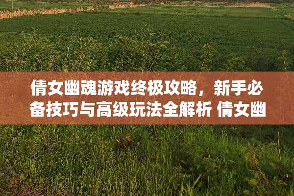 倩女幽魂游戏终极攻略，新手必备技巧与高级玩法全解析 倩女幽魂游戏sj攻略