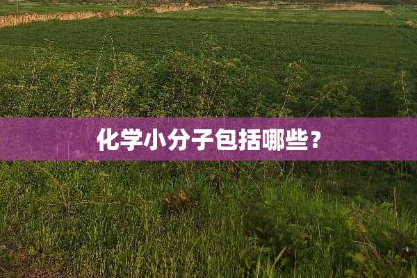 化学小分子包括哪些？