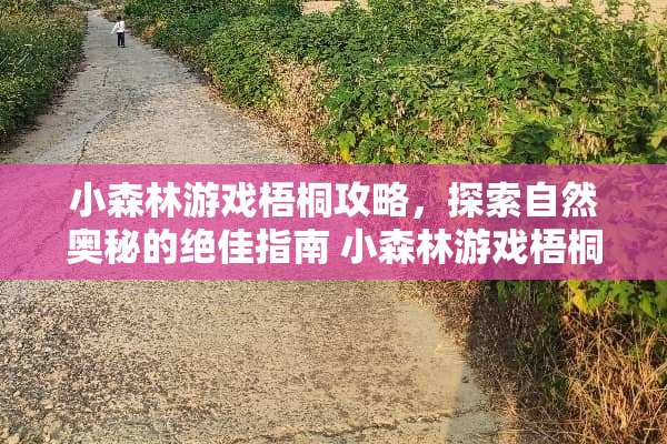 小森林游戏梧桐攻略，探索自然奥秘的绝佳指南 小森林游戏梧桐攻略
