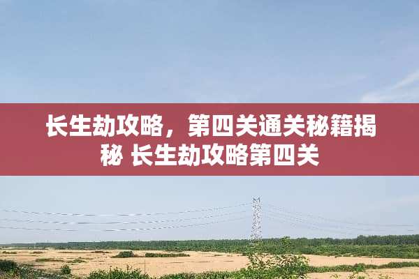 长生劫攻略，第四关通关秘籍揭秘 长生劫攻略第四关