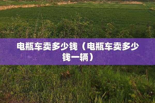 电瓶车卖多少钱（电瓶车卖多少钱一辆）