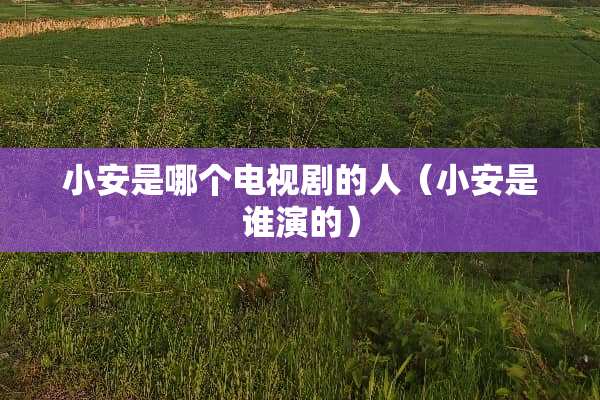 小安是哪个电视剧的人（小安是谁演的）