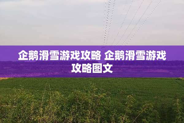 企鹅滑雪游戏攻略 企鹅滑雪游戏攻略图文