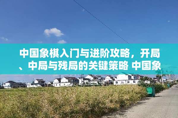 中国象棋入门与进阶攻略，开局、中局与残局的关键策略 中国象棋玩法和技巧