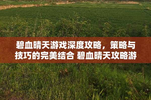 碧血晴天游戏深度攻略，策略与技巧的完美结合 碧血晴天攻略游戏
