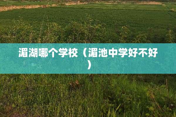 湄湖哪个学校（湄池中学好不好）